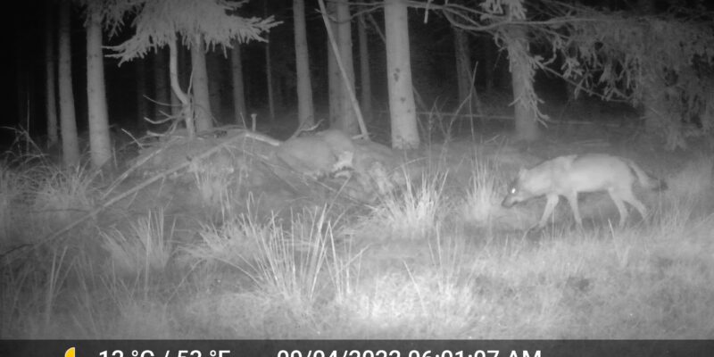 Foto: Marie Camille Vandevijver