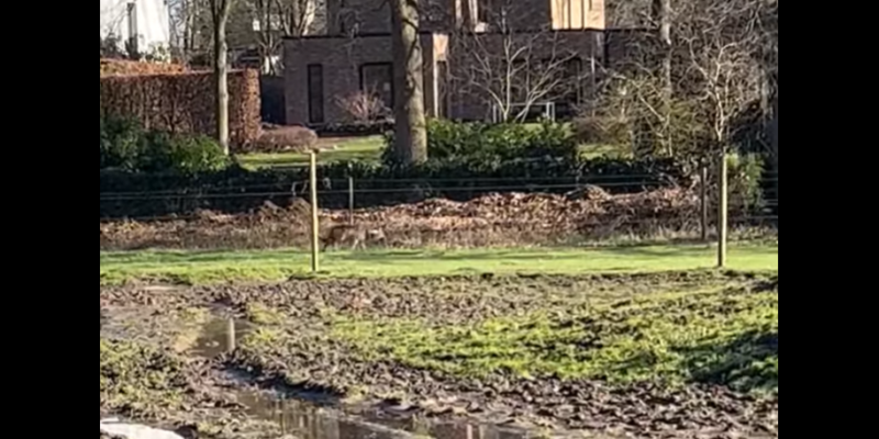 Foto: Cathy Van der Haegen