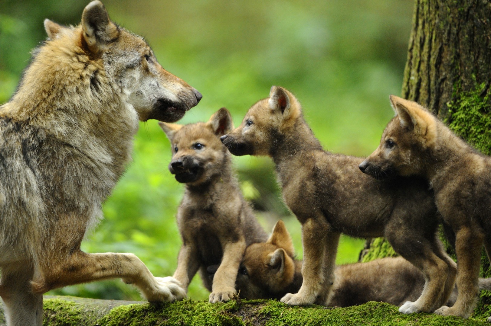 Foto: David & Micha Sheldon