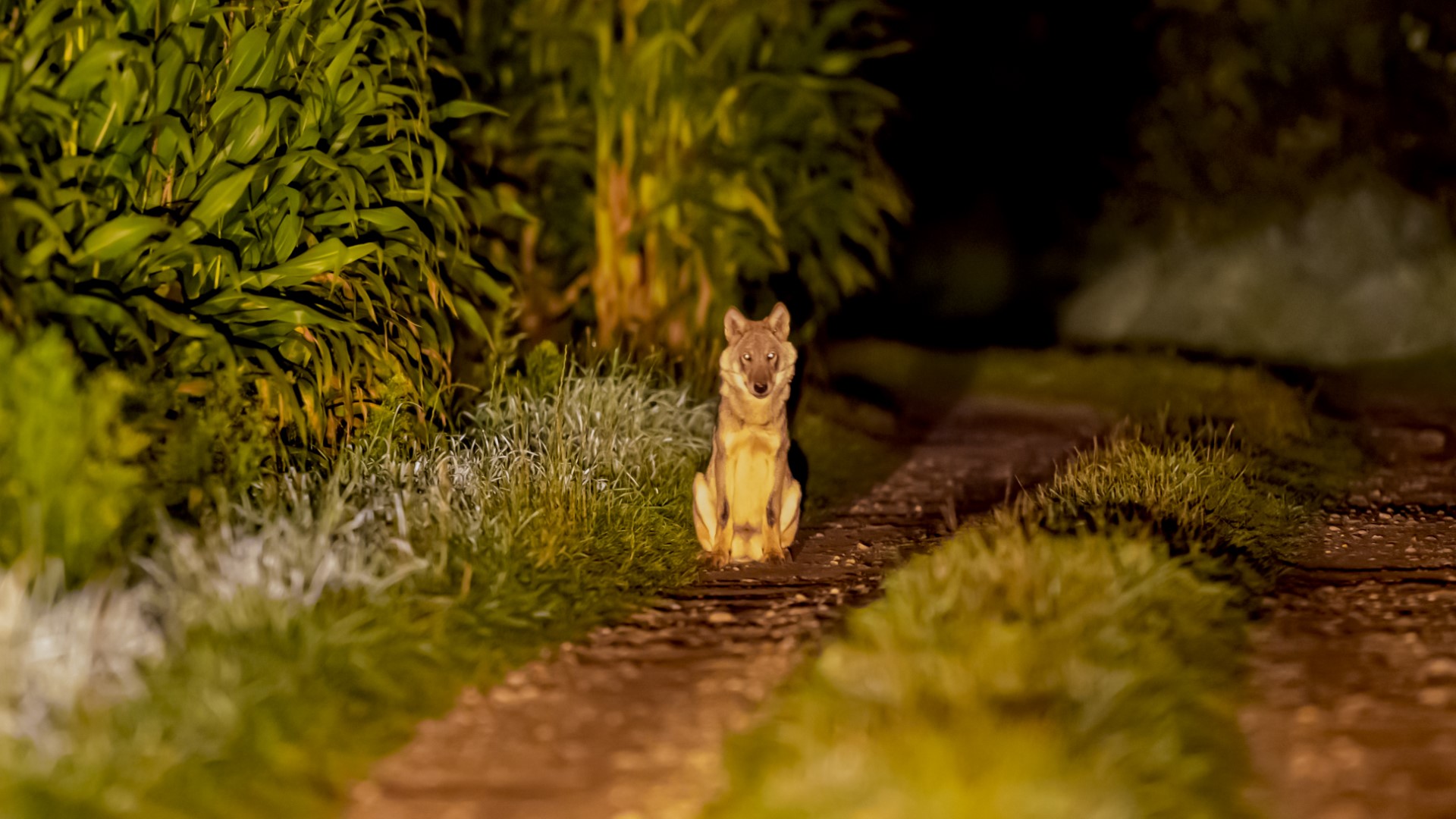 Foto: Kristof Machiels