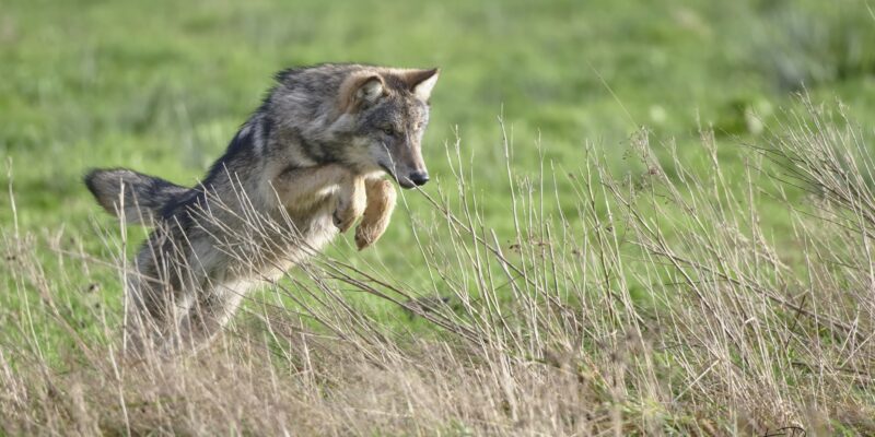 Foto: Tino Broekstra