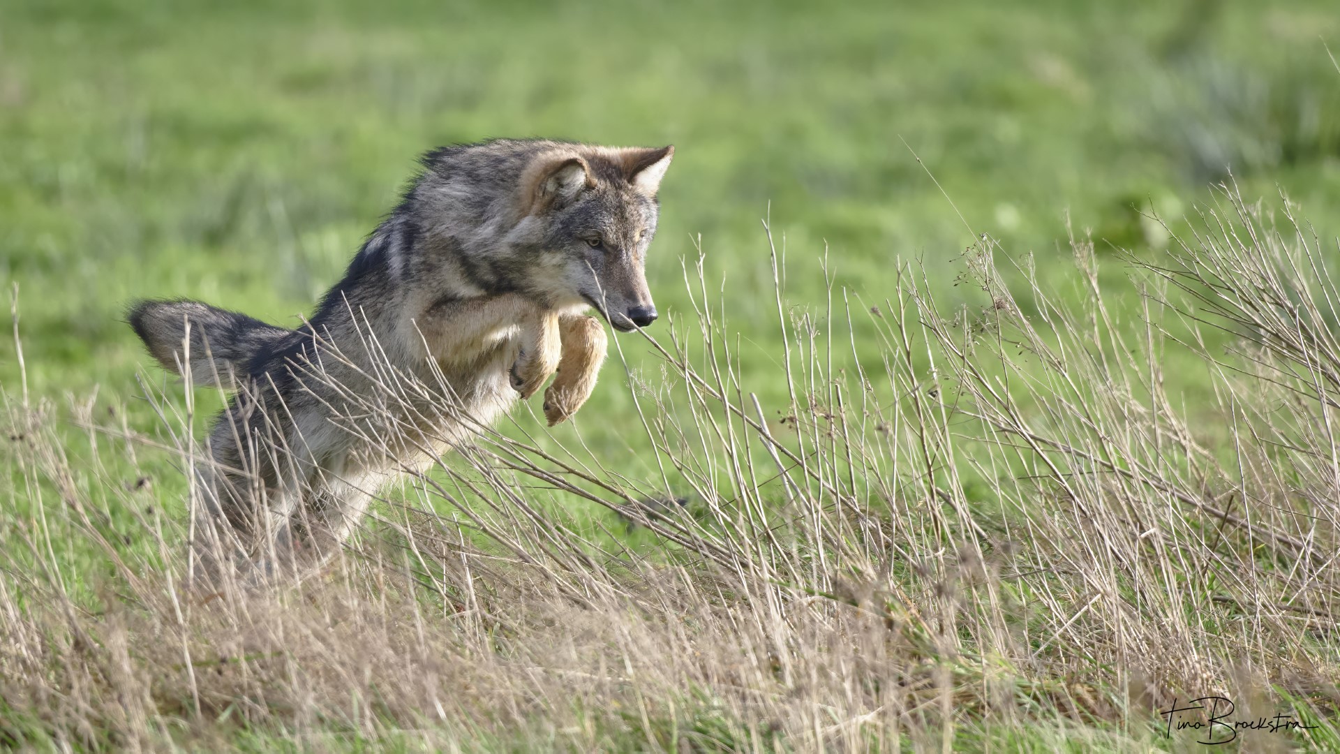 Foto: Tino Broekstra