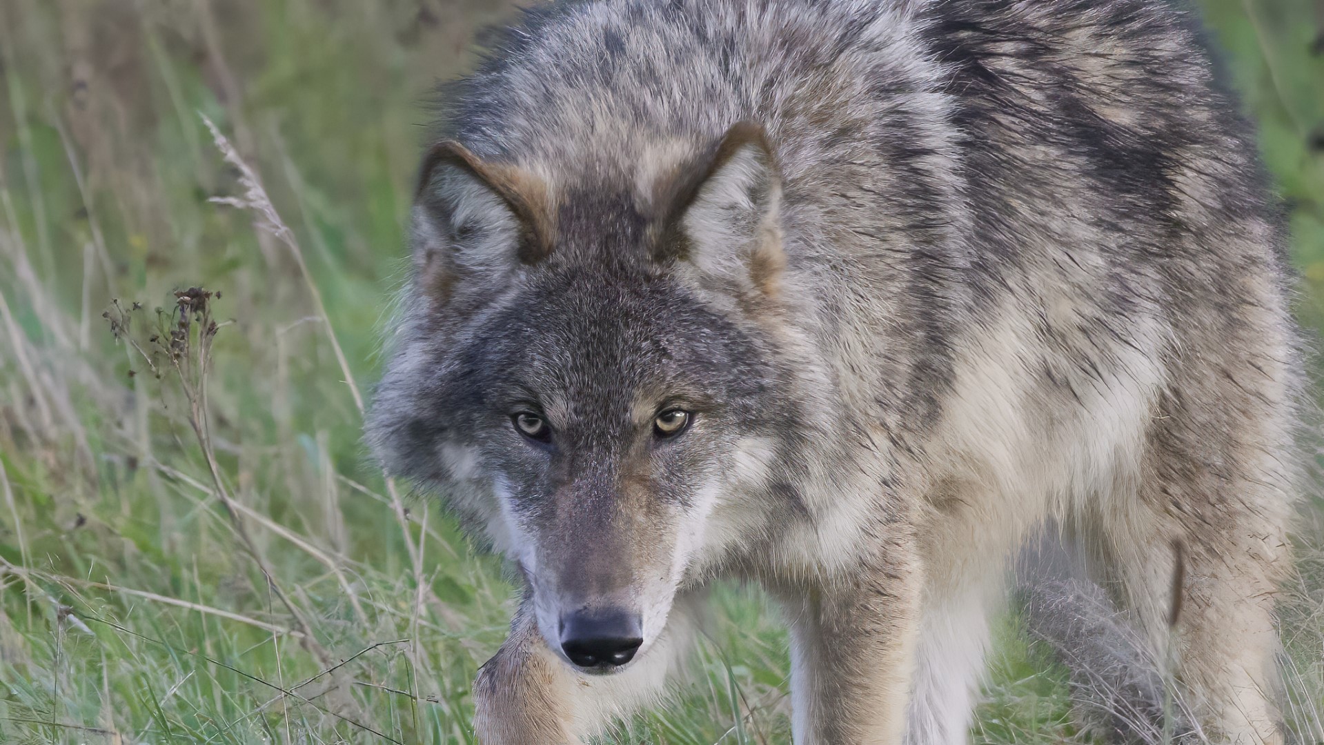 Foto: Tino Broekstra