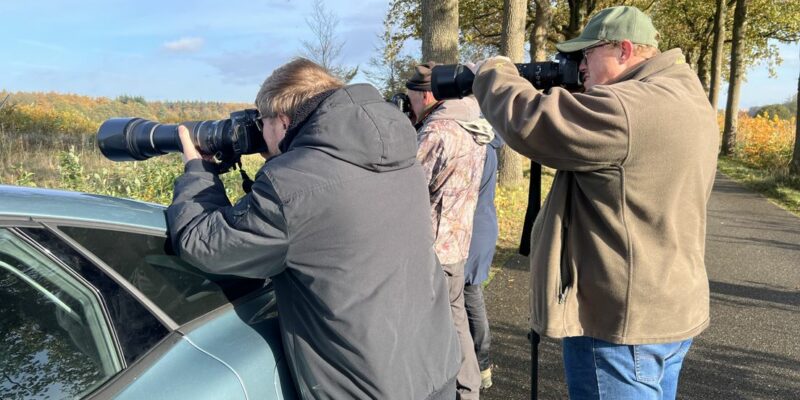 Foto: Petra Wijnsema