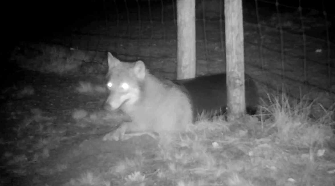 Foto: Natuurmonumenten