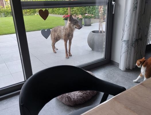 Foto: Martin Severijns