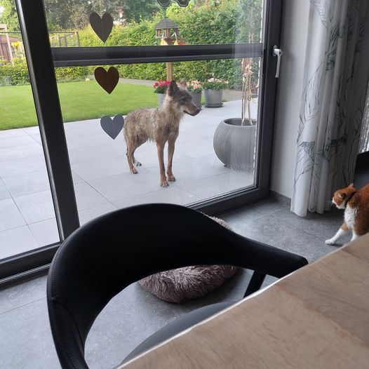 Foto: Martin Severijns