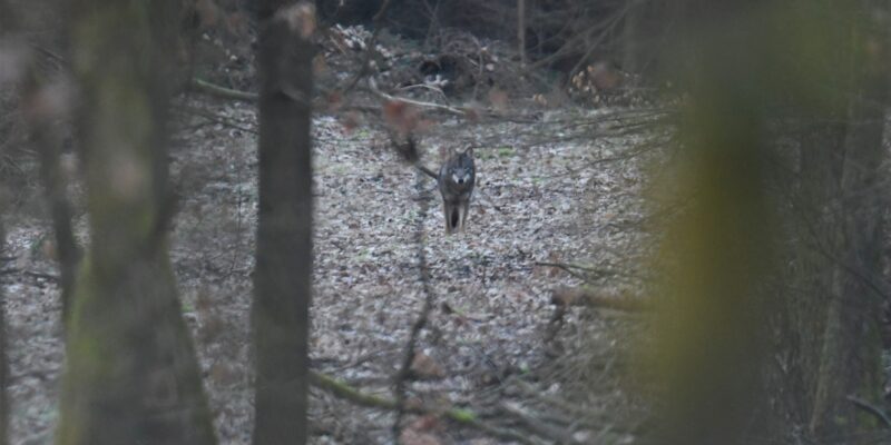 Foto: Edouard Geelhand